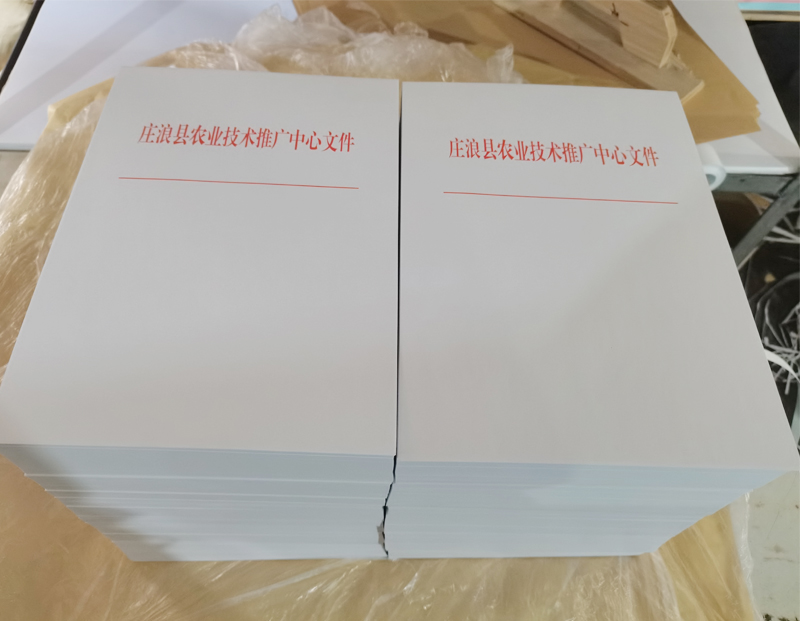城中文头纸